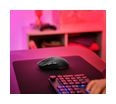 Thumbnail10