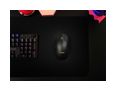 Thumbnail10
