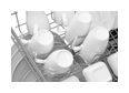 Thumbnail11