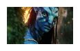 Thumbnail11