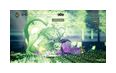 Thumbnail11