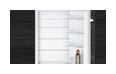 Thumbnail11