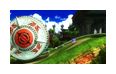 Thumbnail11