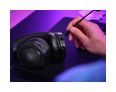 Thumbnail11