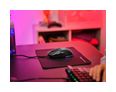Thumbnail11