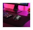 Thumbnail11