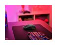 Thumbnail11