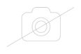Thumbnail12