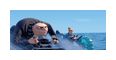 Thumbnail12