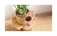 Thumbnail12