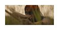 Thumbnail12