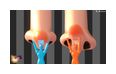 Thumbnail12