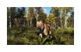 Thumbnail12