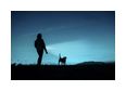 Thumbnail2