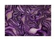 Thumbnail2