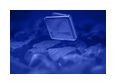 Thumbnail2