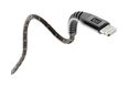 Thumbnail2