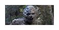 Thumbnail2