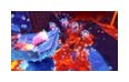 Thumbnail2