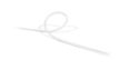 Thumbnail2