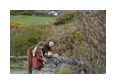 Thumbnail2