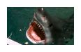Thumbnail2