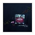 Thumbnail2