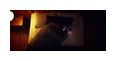 Thumbnail3