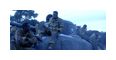 Thumbnail3