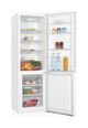 Thumbnail3