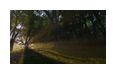 Thumbnail3