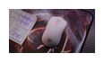 Thumbnail3