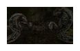 Thumbnail3