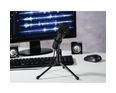 Thumbnail3