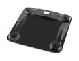 Thumbnail3