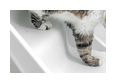 Thumbnail3