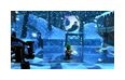 Thumbnail3