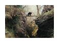 Thumbnail3