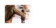 Thumbnail3