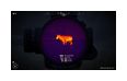 Thumbnail3