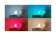 Thumbnail3