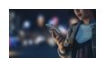 Thumbnail4