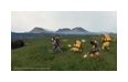 Thumbnail4