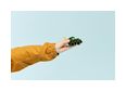 Thumbnail4