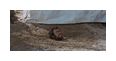 Thumbnail4