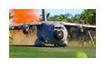 Thumbnail4