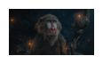 Thumbnail4