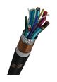 Thumbnail4