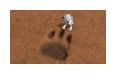 Thumbnail4