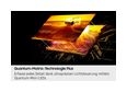 Thumbnail4